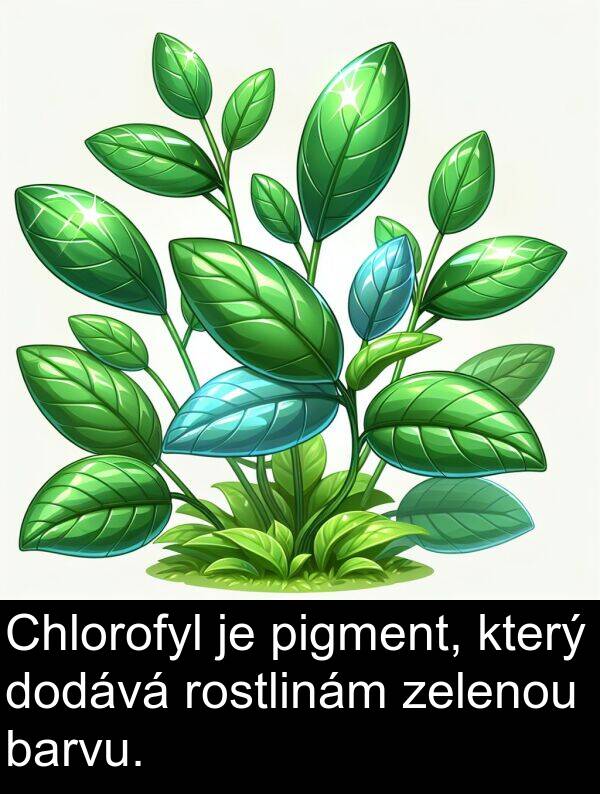 zelenou: Chlorofyl je pigment, který dodává rostlinám zelenou barvu.