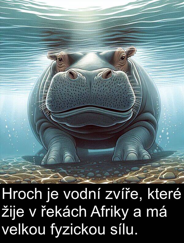 fyzickou: Hroch je vodní zvíře, které žije v řekách Afriky a má velkou fyzickou sílu.