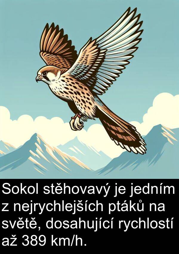 jedním: Sokol stěhovavý je jedním z nejrychlejších ptáků na světě, dosahující rychlostí až 389 km/h.