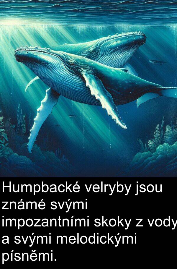 svými: Humpbacké velryby jsou známé svými impozantními skoky z vody a svými melodickými písněmi.