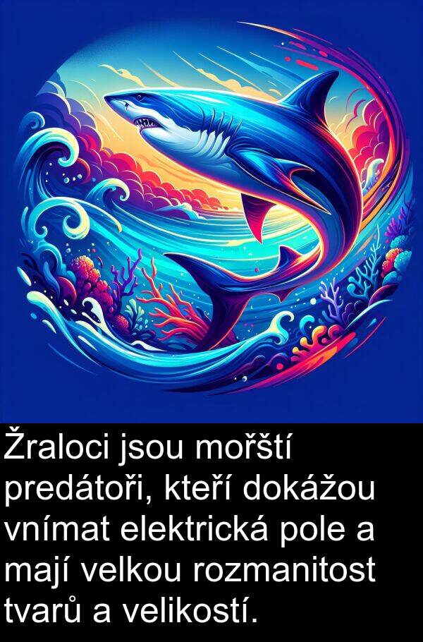 mají: Žraloci jsou mořští predátoři, kteří dokážou vnímat elektrická pole a mají velkou rozmanitost tvarů a velikostí.
