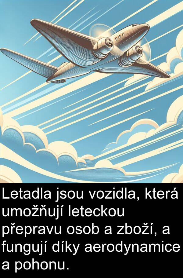 fungují: Letadla jsou vozidla, která umožňují leteckou přepravu osob a zboží, a fungují díky aerodynamice a pohonu.