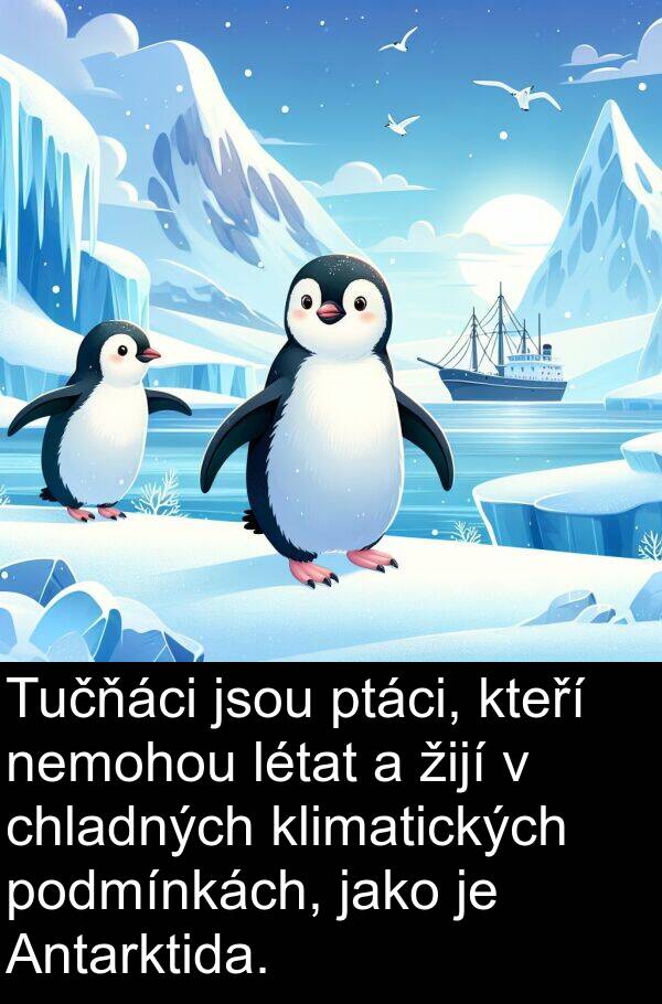 létat: Tučňáci jsou ptáci, kteří nemohou létat a žijí v chladných klimatických podmínkách, jako je Antarktida.