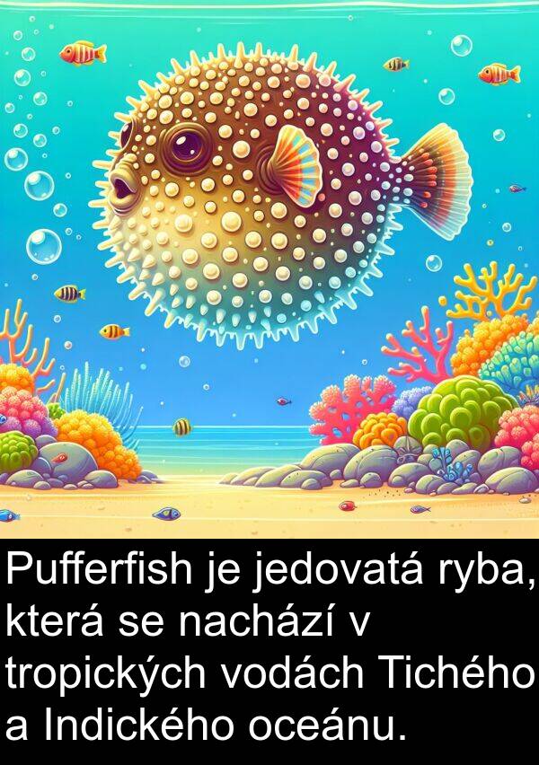 nachází: Pufferfish je jedovatá ryba, která se nachází v tropických vodách Tichého a Indického oceánu.