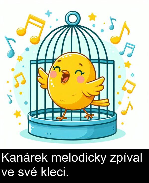 kleci: Kanárek melodicky zpíval ve své kleci.