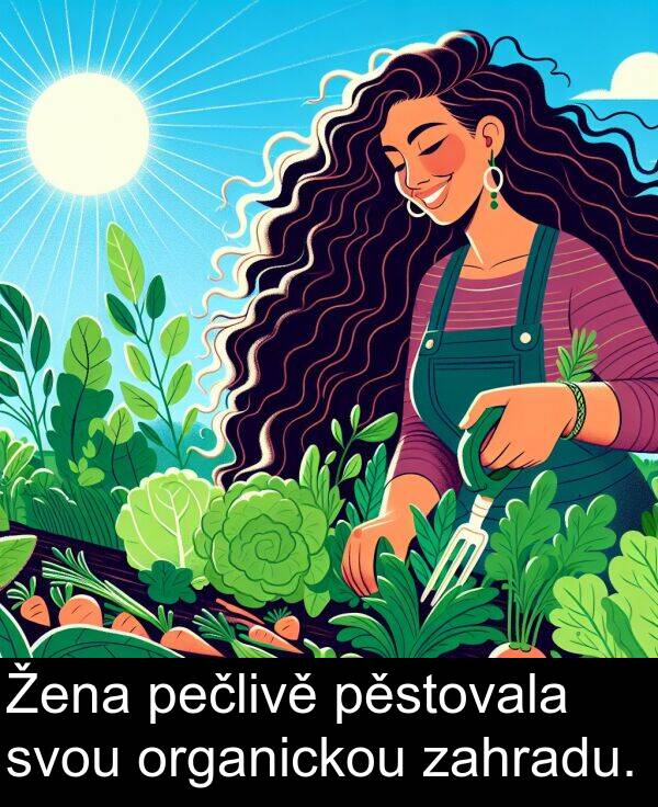 pečlivě: Žena pečlivě pěstovala svou organickou zahradu.