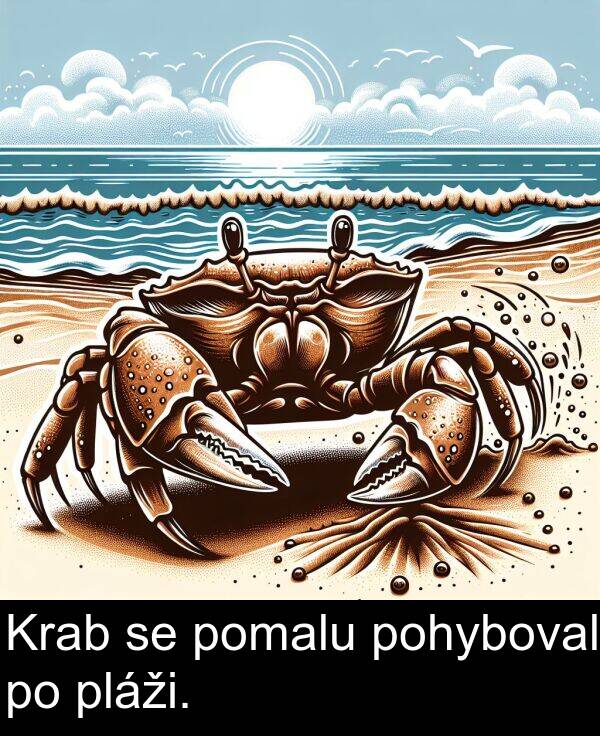 pohyboval: Krab se pomalu pohyboval po pláži.