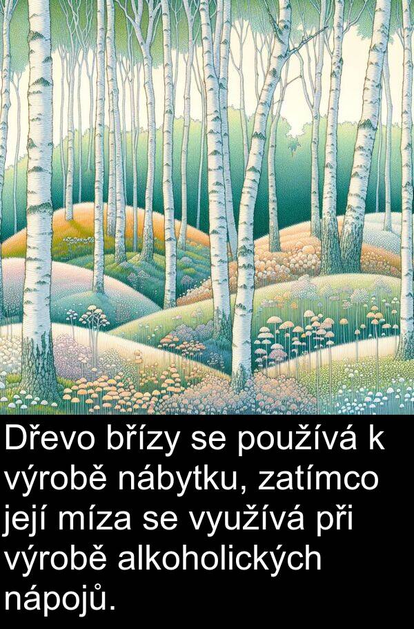 nábytku: Dřevo břízy se používá k výrobě nábytku, zatímco její míza se využívá při výrobě alkoholických nápojů.