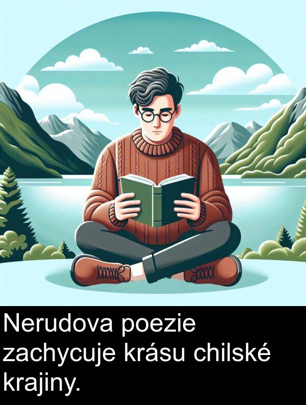 poezie: Nerudova poezie zachycuje krásu chilské krajiny.