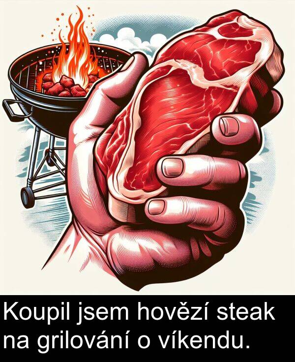 grilování: Koupil jsem hovězí steak na grilování o víkendu.