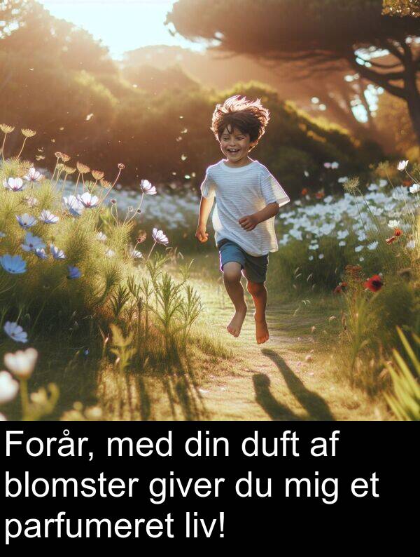 giver: Forår, med din duft af blomster giver du mig et parfumeret liv!