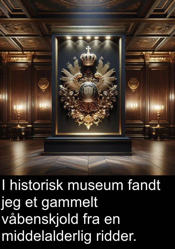 fandt: I historisk museum fandt jeg et gammelt våbenskjold fra en middelalderlig ridder.