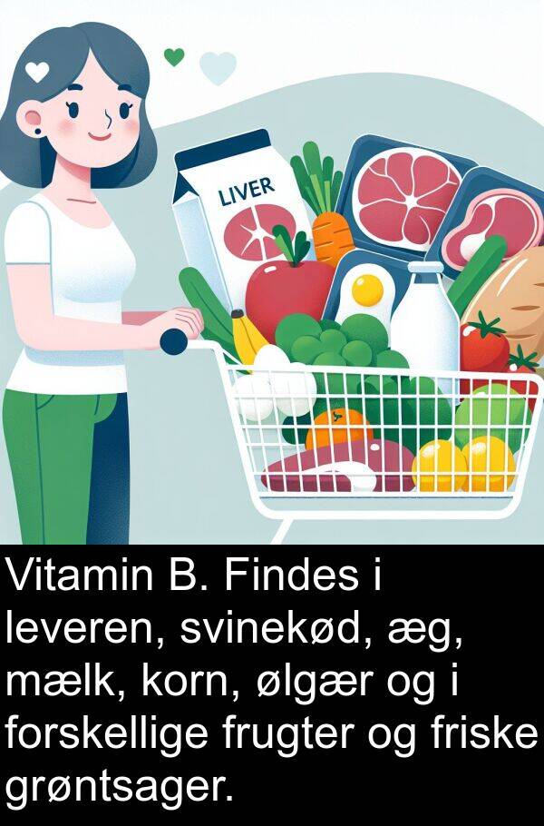 leveren: Vitamin B. Findes i leveren, svinekød, æg, mælk, korn, ølgær og i forskellige frugter og friske grøntsager.