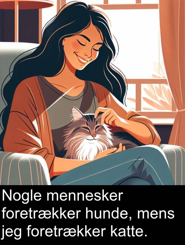 katte: Nogle mennesker foretrækker hunde, mens jeg foretrækker katte.