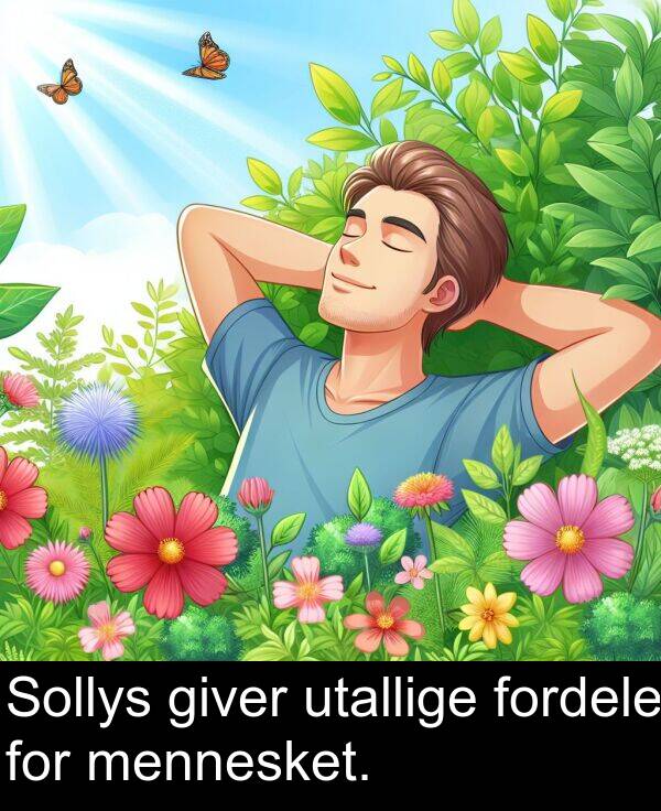 giver: Sollys giver utallige fordele for mennesket.