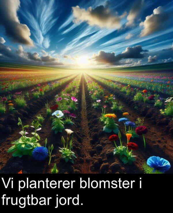 jord: Vi planterer blomster i frugtbar jord.