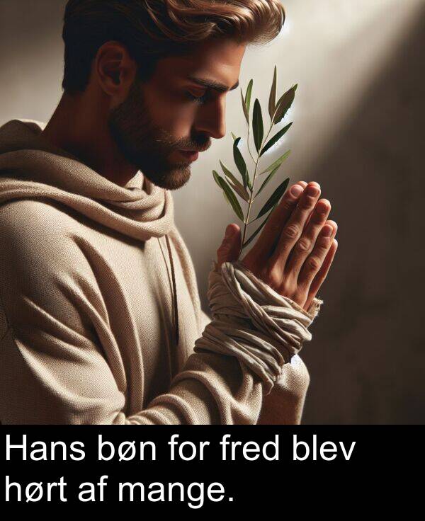 mange: Hans bøn for fred blev hørt af mange.