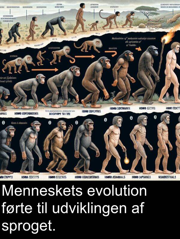 førte: Menneskets evolution førte til udviklingen af sproget.