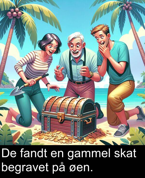 fandt: De fandt en gammel skat begravet på øen.