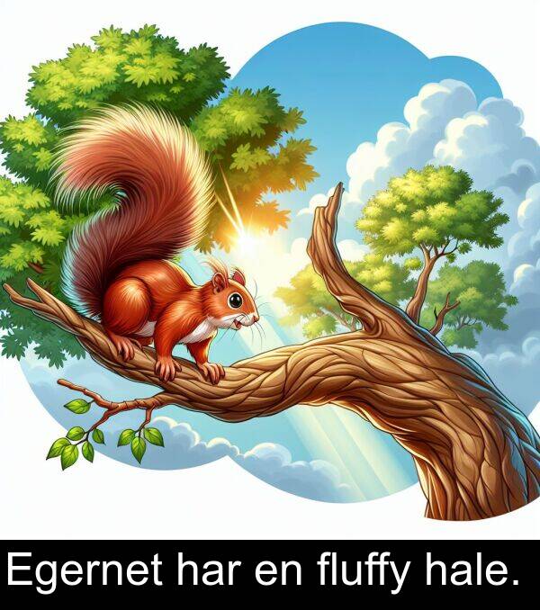 hale: Egernet har en fluffy hale.