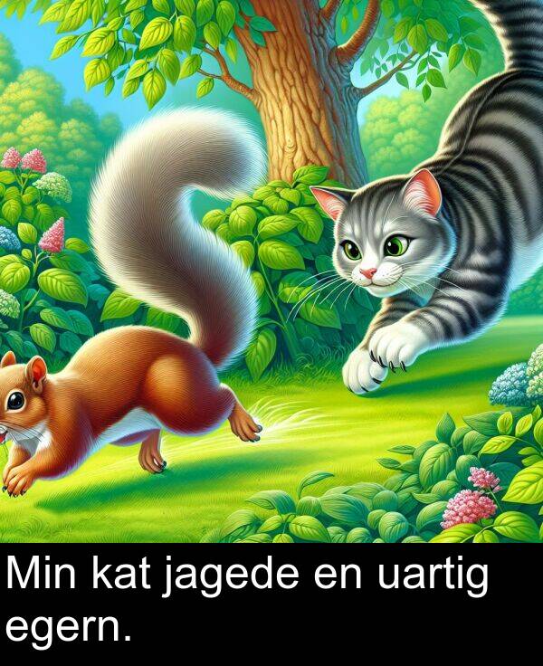 egern: Min kat jagede en uartig egern.