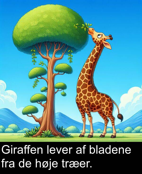 fra: Giraffen lever af bladene fra de høje træer.