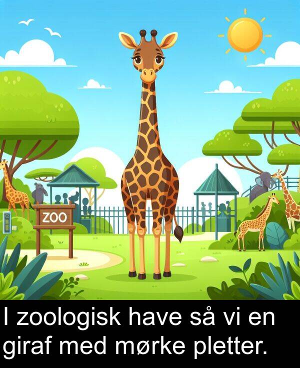 have: I zoologisk have så vi en giraf med mørke pletter.