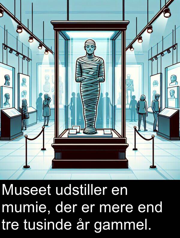 gammel: Museet udstiller en mumie, der er mere end tre tusinde år gammel.