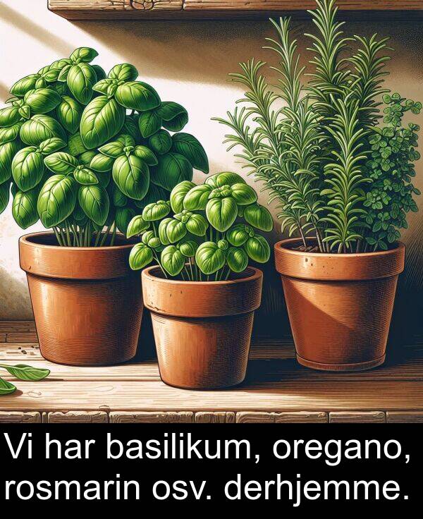 basilikum: Vi har basilikum, oregano, rosmarin osv. derhjemme.