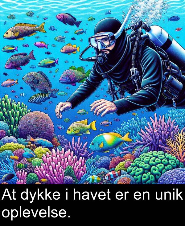 havet: At dykke i havet er en unik oplevelse.