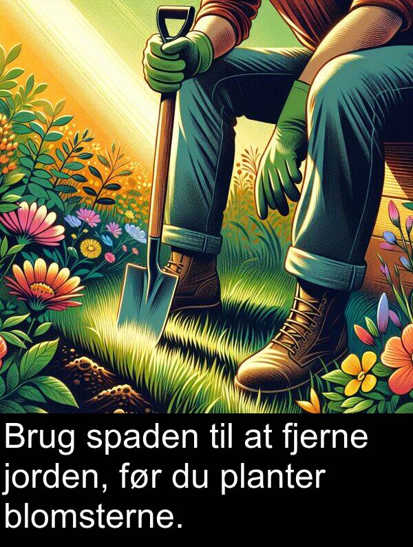 jorden: Brug spaden til at fjerne jorden, før du planter blomsterne.