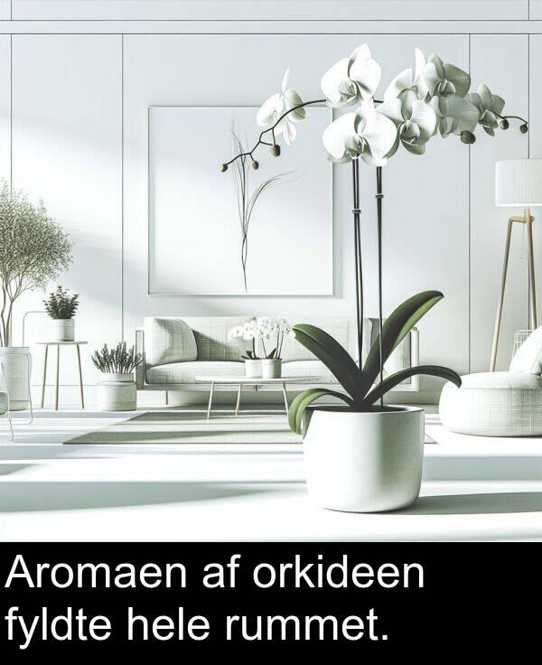 hele: Aromaen af orkideen fyldte hele rummet.