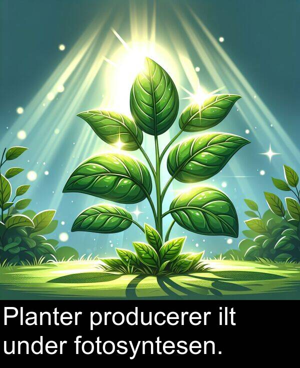 fotosyntesen: Planter producerer ilt under fotosyntesen.