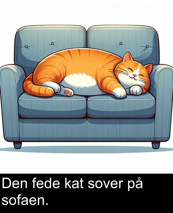 fede: Den fede kat sover på sofaen.