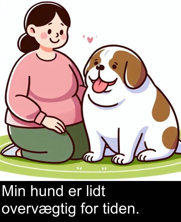 for: Min hund er lidt overvægtig for tiden.