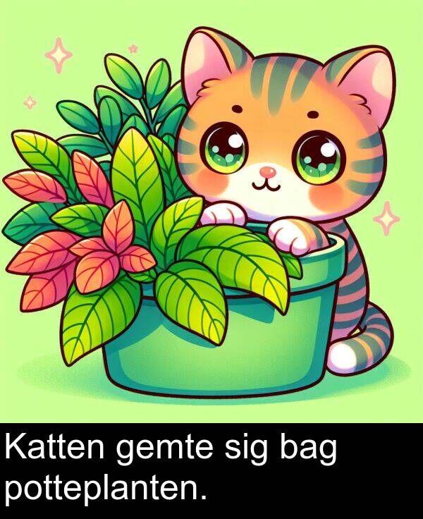 gemte: Katten gemte sig bag potteplanten.