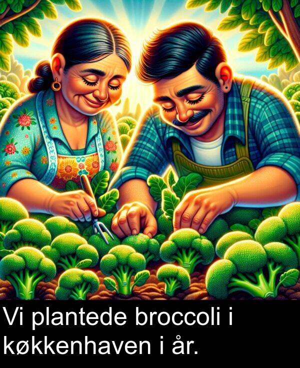 plantede: Vi plantede broccoli i køkkenhaven i år.