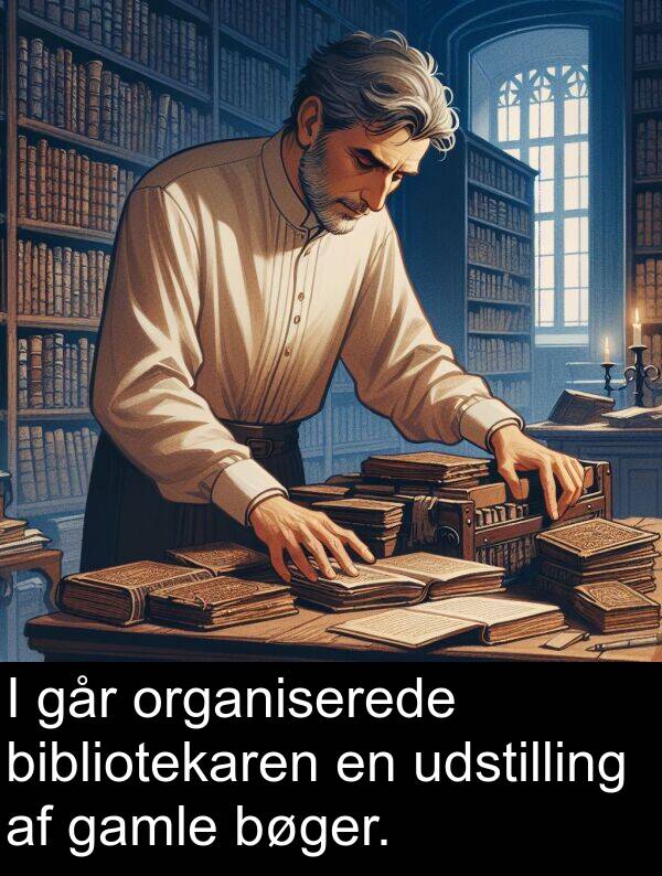 organiserede: I går organiserede bibliotekaren en udstilling af gamle bøger.