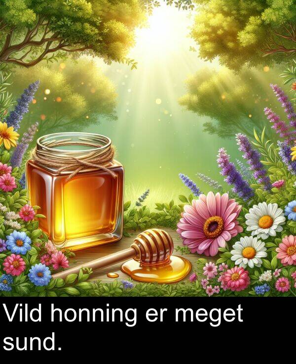 meget: Vild honning er meget sund.