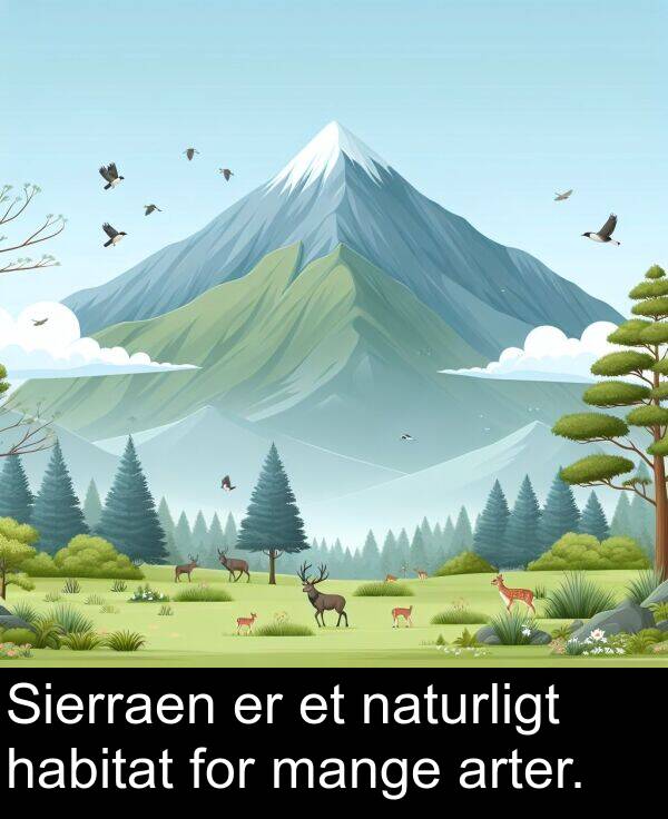 mange: Sierraen er et naturligt habitat for mange arter.