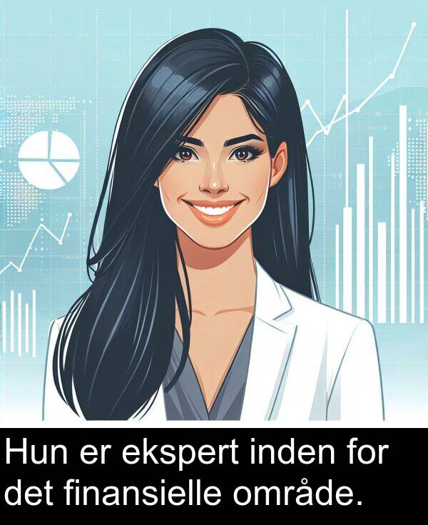 finansielle: Hun er ekspert inden for det finansielle område.