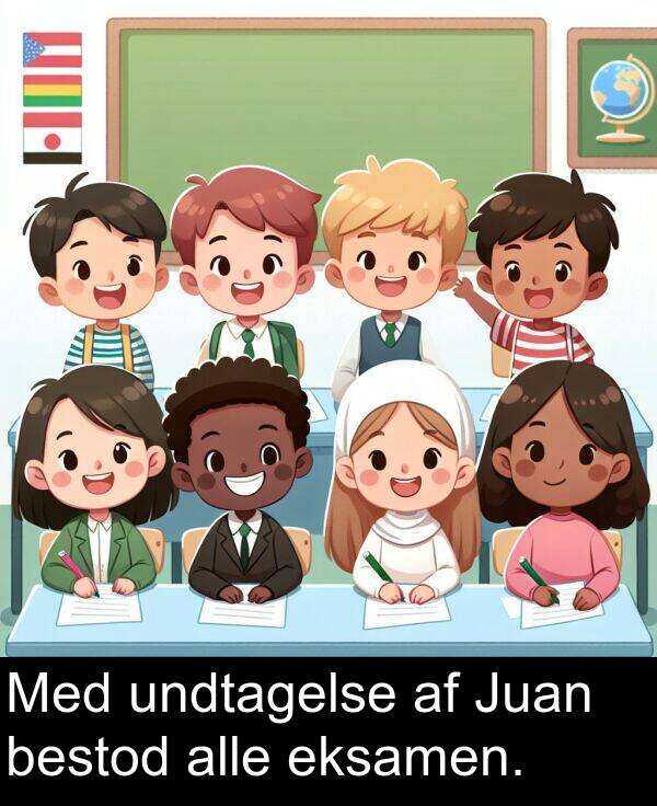 bestod: Med undtagelse af Juan bestod alle eksamen.