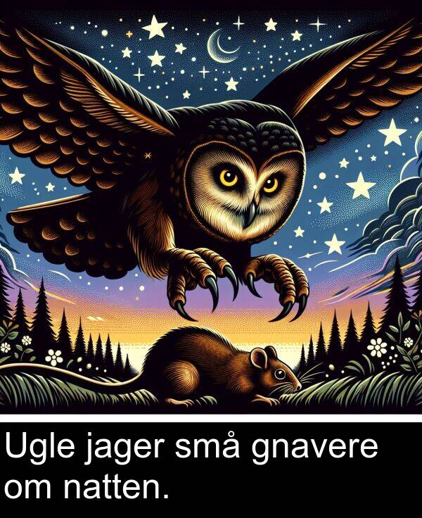 jager: Ugle jager små gnavere om natten.