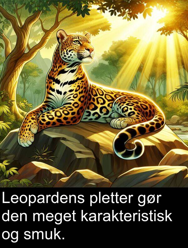 karakteristisk: Leopardens pletter gør den meget karakteristisk og smuk.