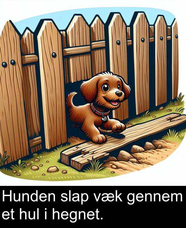 væk: Hunden slap væk gennem et hul i hegnet.