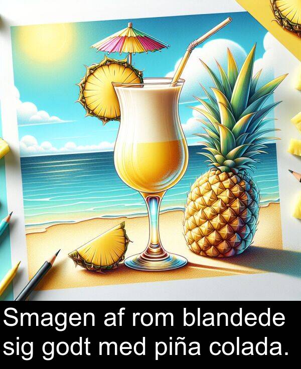 sig: Smagen af rom blandede sig godt med piña colada.