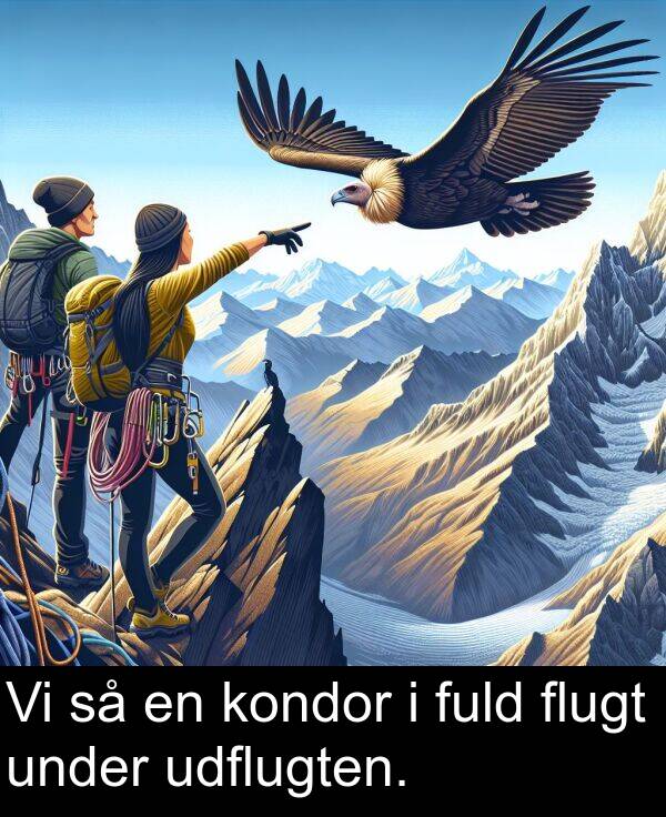 flugt: Vi så en kondor i fuld flugt under udflugten.