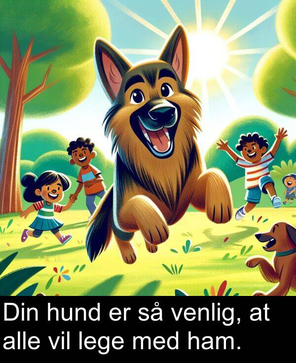 venlig: Din hund er så venlig, at alle vil lege med ham.