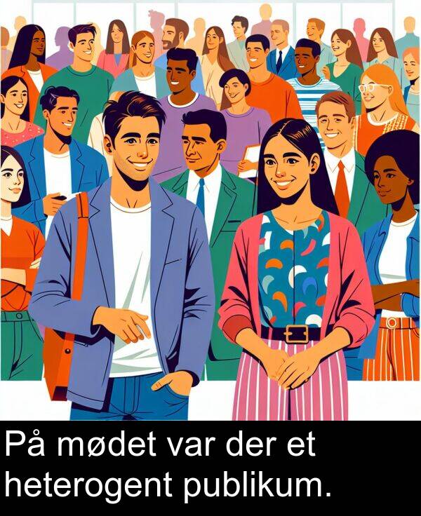 var: På mødet var der et heterogent publikum.