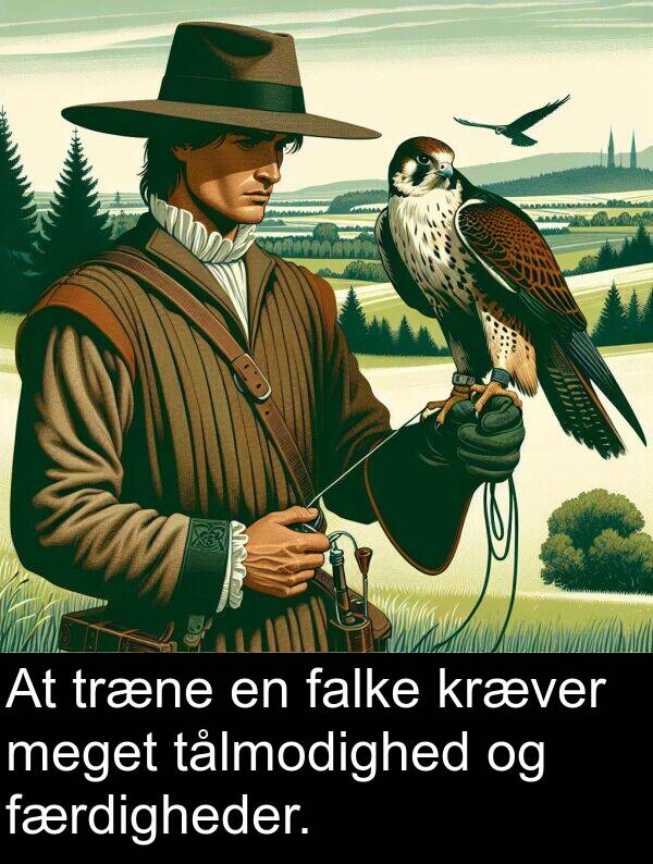 falke: At træne en falke kræver meget tålmodighed og færdigheder.